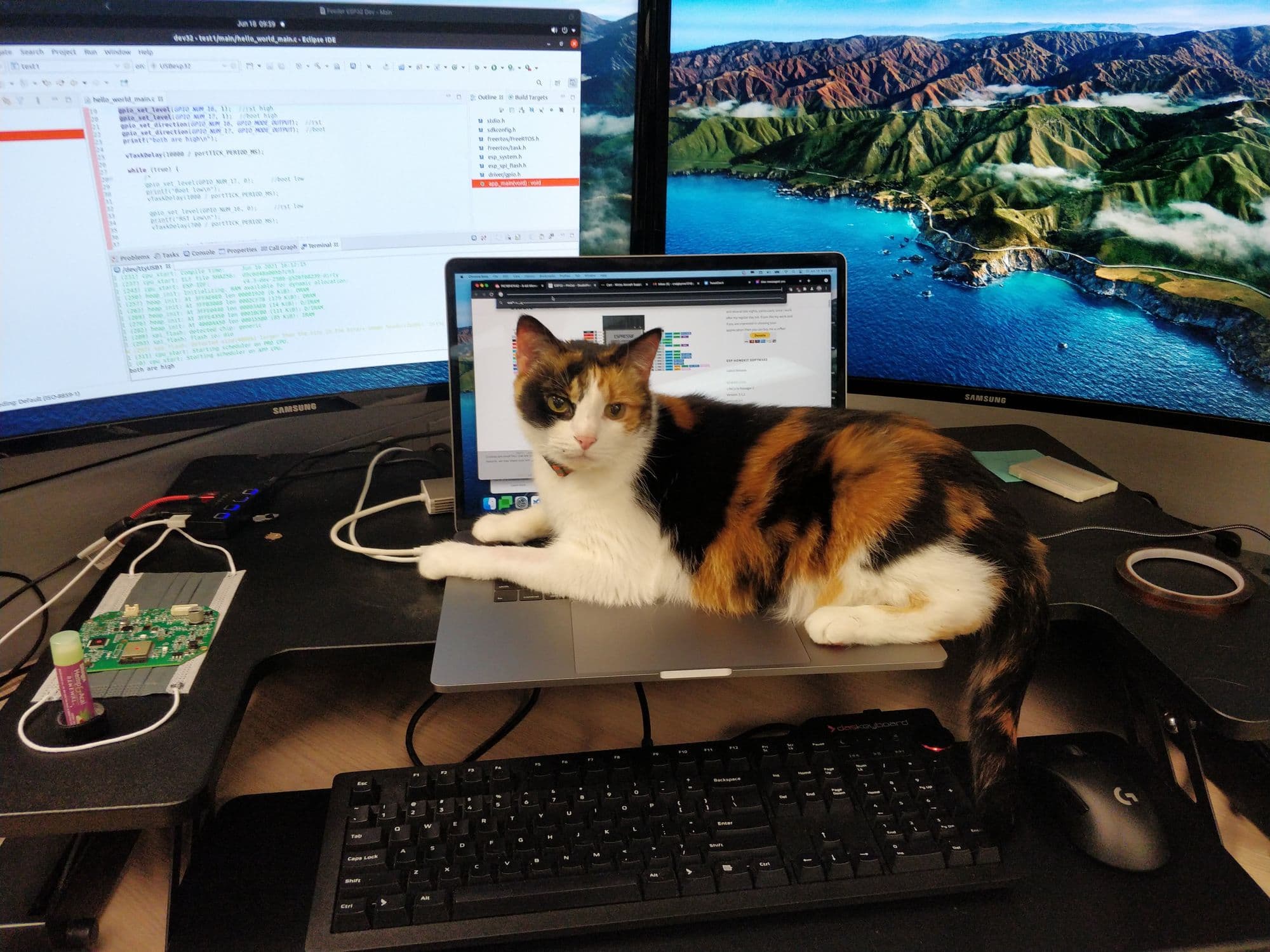 One Year at Whisker